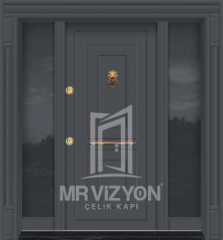 VİZYON-1006